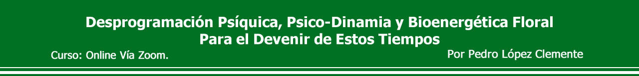 Header Desprogramación Psíquica,
Psico-Dinamia y Bioenergética Floral