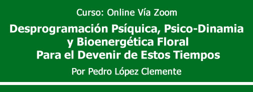 Header Desprogramación Psíquica,
Psico-Dinamia y Bioenergética Floral